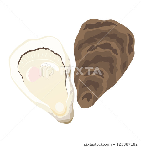 牡蠣和牡蠣殼插圖 125887182