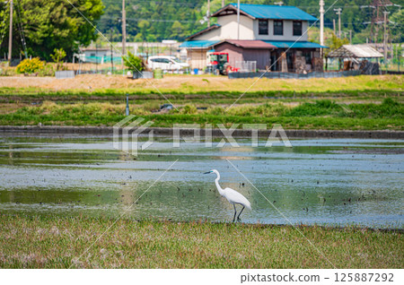 Rural scenery in Yogo Town, Kohoku region, Nagahama City, Shiga Prefecture 125887292