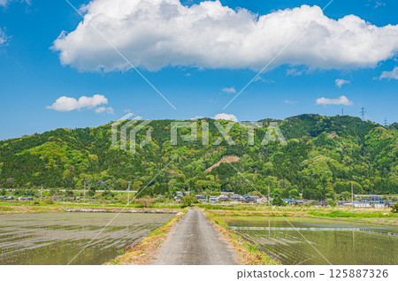 滋賀縣長濱市港北地區與後町的田園風光 125887326