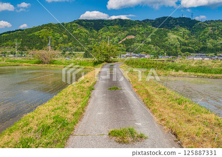 滋賀縣長濱市港北地區與後町的田園風光 滋賀縣長濱市港北地區與後町的田園風光 125887331