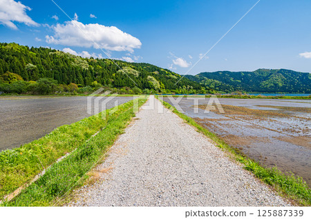 滋賀縣長濱市港北地區與後町的田園風光 滋賀縣長濱市港北地區與後町的田園風光 125887339