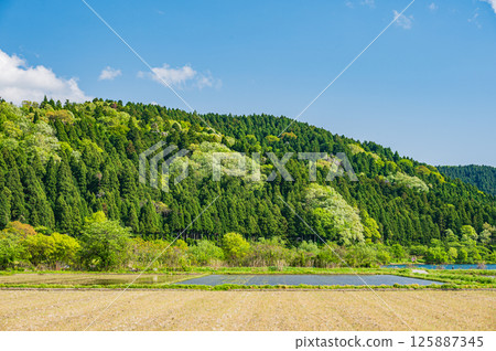 Rural scenery in Yogo Town, Kohoku region, Nagahama City, Shiga Prefecture 125887345