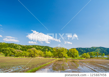 滋賀縣長濱市港北地區與後町的田園風光 滋賀縣長濱市港北地區與後町的田園風光 125887456