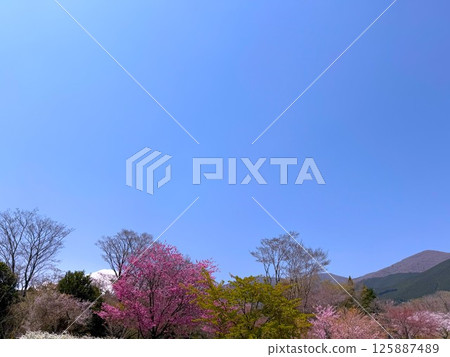 藍天 藍天 125887489