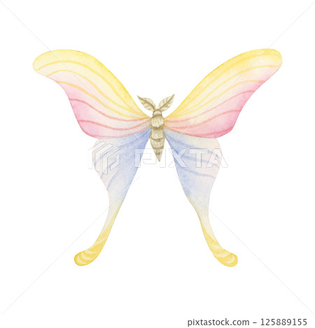 Watercolor butterfly in pastel pink, yellow and blue isolated illustration. Romantic, cute and girly flying moth for baby girl clothes and wedding designs Watercolor butterfly in pastel pink, yellow and blue isolated illustration. Romantic, cute and girly flying moth for baby girl clothes and wedding designs 125889155