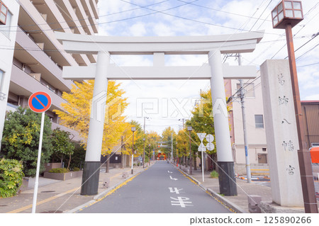 [Japan] Road with torii gates and ginkgo trees at Katsushika Hachiman Shrine in Ichikawa City, Chiba Prefecture 125890266
