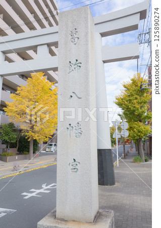 [Japan] A stone pillar and a ginkgo tree with yellow and red leaves in front of the torii gate of Katsushika Hachiman Shrine in Ichikawa City, Chiba Prefecture 125890274