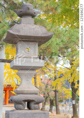 [日] 千葉縣市川市葛飾八幡神社的石燈籠和秋色的銀杏樹 125890277