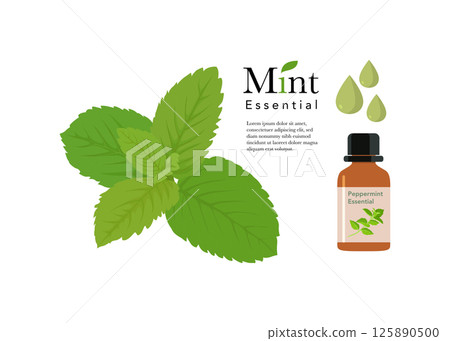 Peppermint Essential Aromatherapy oil on white background 125890500