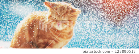 Portrait of a kitten sitting on the snow in winter during a snowfall. Horizontal banner 125890515