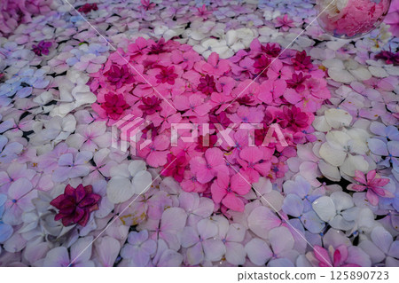 京都長岡京的柳谷ya農農中谷寺初夏區照片 京都長岡京的柳谷ya農農中谷寺初夏區照片 125890723