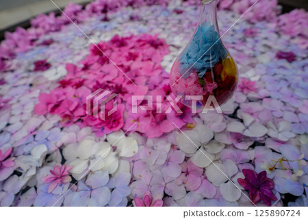 京都長岡京的柳谷ya農農中谷寺初夏區照片 京都長岡京的柳谷ya農農中谷寺初夏區照片 125890724