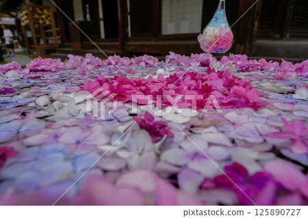 京都長岡京的柳谷ya農農中谷寺初夏區照片 京都長岡京的柳谷ya農農中谷寺初夏區照片 125890727