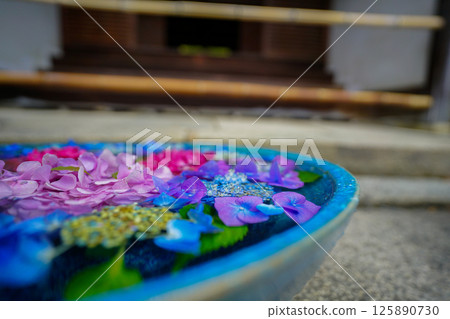 京都長岡京的柳谷ya農農中谷寺初夏區照片 京都長岡京的柳谷ya農農中谷寺初夏區照片 125890730