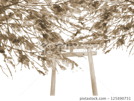 神社的棕褐色風景，鳥居掩映在樹叢中，用水彩繪製 [手繪] 白色背景 留出剪切空間 125890731