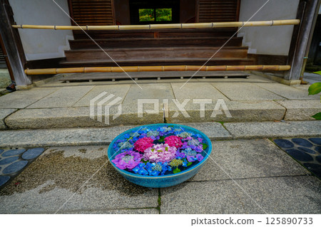 京都長岡京的柳谷ya農農中谷寺初夏區照片 京都長岡京的柳谷ya農農中谷寺初夏區照片 125890733