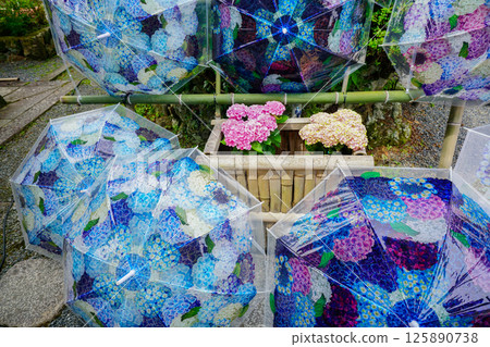 Photograph of the precincts of the early summer of Yanagaya Kannon Nakuyaji, Nagaokakyo, Kyoto 125890738