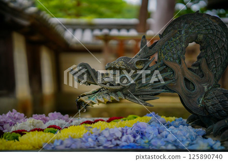 京都長岡京的柳谷ya農農中谷寺初夏區照片 125890740