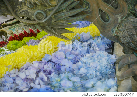 京都長岡京的柳谷ya農農中谷寺初夏區照片 京都長岡京的柳谷ya農農中谷寺初夏區照片 125890747