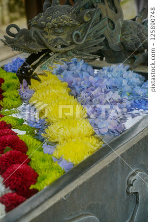 京都長岡京的柳谷ya農農中谷寺初夏區照片 京都長岡京的柳谷ya農農中谷寺初夏區照片 125890748