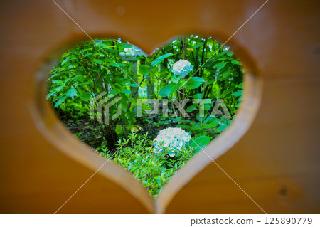 京都長岡京的柳谷ya農農中谷寺初夏區照片 京都長岡京的柳谷ya農農中谷寺初夏區照片 125890779