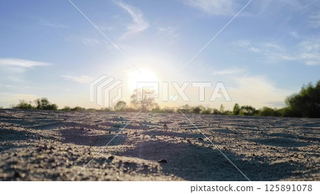 Foggy morning scene with sunrise trees and meadow covered with sand, beautiful spring morning, Nostalgic Scene. Fog illuminated by the sun. spring landscape. Foggy morning scene with sunrise trees and meadow covered with sand, beautiful spring morning, Nostalgic Scene. Fog illuminated by the sun. spring landscape. 125891078