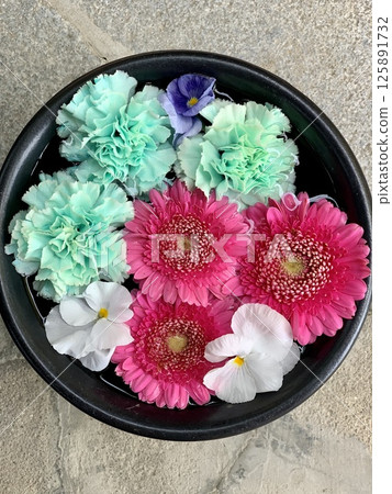 愛知縣岡崎市須鄉神社的五月花（非洲菊、康乃馨、三色堇） 125891732