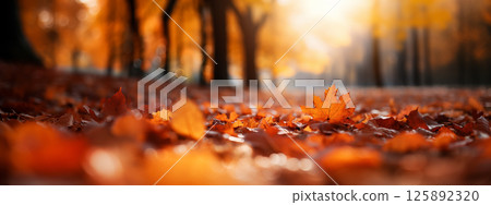 Colorful foliage in the park. Falling leaves natural background .Autumn season concept. Abstract autumn background 125892320