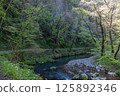 Taishakukyo Quasi-National Park, promenade scenery (Shobara City, Hiroshima Prefecture) 125892346