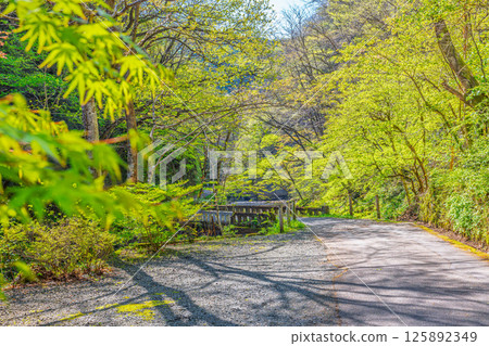 Taishakukyo Quasi-National Park, promenade scenery (Shobara City, Hiroshima Prefecture) 125892349