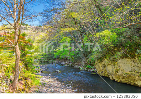 Taishakukyo Quasi-National Park, promenade scenery (Shobara City, Hiroshima Prefecture) 125892350