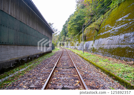 [#Gifu] Single track 125892357