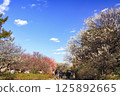 越谷梅花森林公園梅花節 125892665