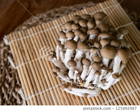 fresh brown shimeji mushroom or beech mushroom. 125892987