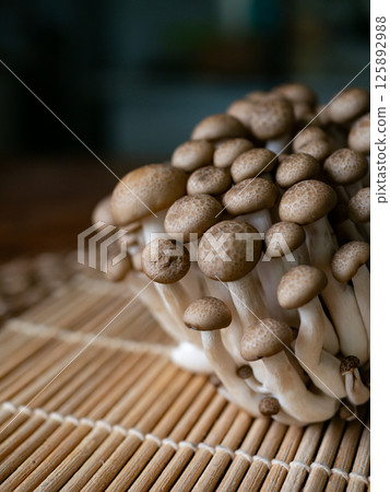fresh brown shimeji mushroom or beech mushroom. 125892988