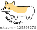 Smiling Welsh Corgi 125893278