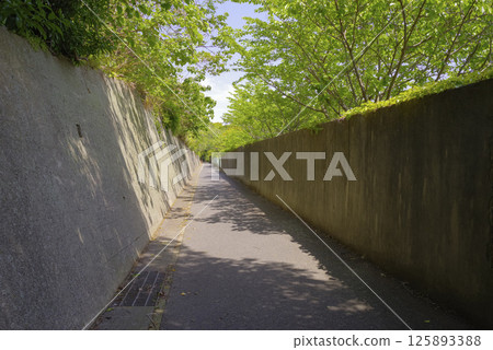 The concrete wall on Otsushima Island, where the Kaiten training base was located The concrete wall on Otsushima Island, where the Kaiten training base was located 125893388