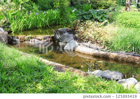麻布台Hills中央廣場 麻布台Hills中央廣場 125893419