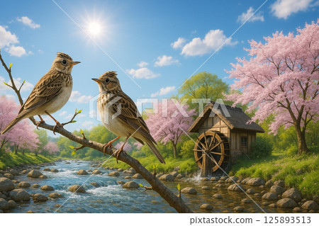 Two skylarks on a branch of a waterside tree with young leaves and fresh greenery Two skylarks on a branch of a waterside tree with young leaves and fresh greenery 125893513