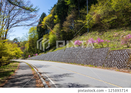 Mount Haruna in the tourist season - Lake Haruna perimeter road 125893714