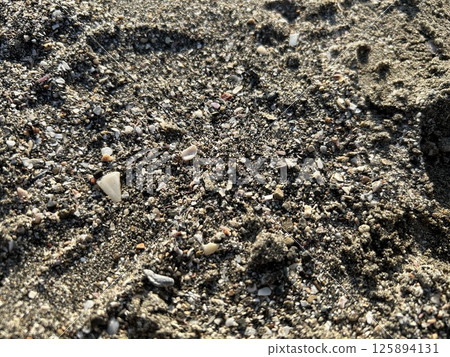 View of the rocky coast in May 125894131