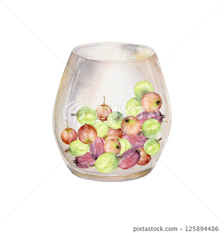 Gooseberry Currant berries served in glass hand drawn in watercolor, ripe picked harvest, lingonberry huckleberry juneberry. Isolated illustration. Dessert menu, home preserves cookbook, grocery store 125894486