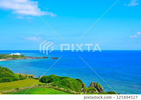 約龍島 125894527