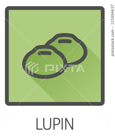 Lupin Bean Legume Food Icon Concept 125894637