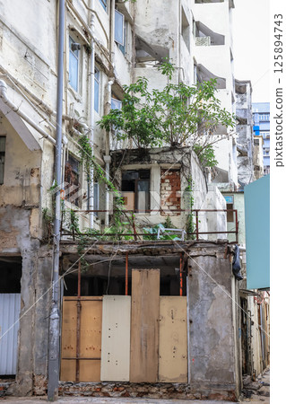 May 5 2025 the Abandoned Urban Building Overgrown with Greenery May 5 2025 the Abandoned Urban Building Overgrown with Greenery 125894743
