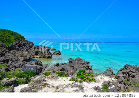 Yoron Island Pigeon Lake 125894882