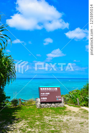 Yoronjima Okanehisa海岸 Yoronjima Okanehisa海岸 125895014