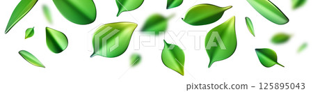 A vibrant header with green leaves falls gracefully, rendered in 3D, isolated on white background. Feelings of freshness and nature's tranquility. Top border, panoramic design element. A vibrant header with green leaves falls gracefully, rendered in 3D, isolated on white background. Feelings of freshness and nature's tranquility. Top border, panoramic design element. 125895043