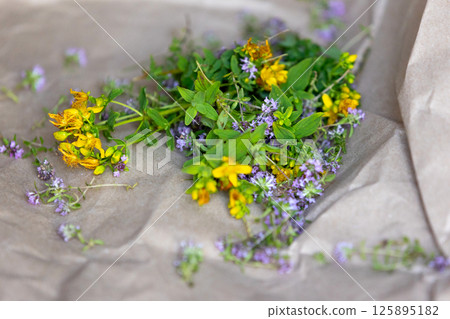 St Johns wort and Thyme fresh flowers drying St Johns wort and Thyme fresh flowers drying 125895182