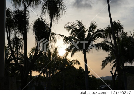 Okinawa Okinawa 125895297